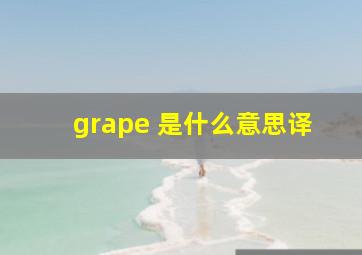 grape 是什么意思译